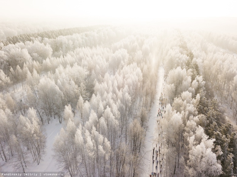 Потепление до -6°С может прийти в Томскую область в третьей декаде декабря