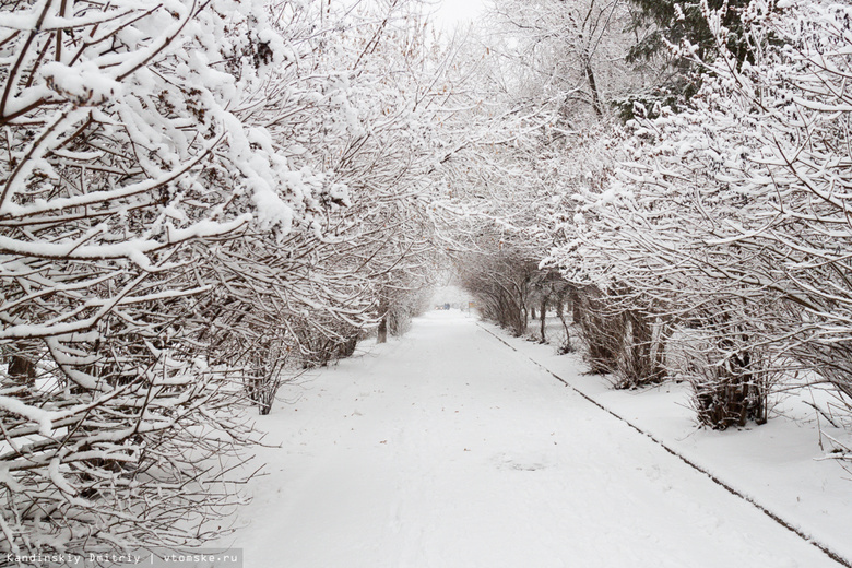 Синоптик: в ноябре в Томске выпало рекордное количество снега за последние 18 лет