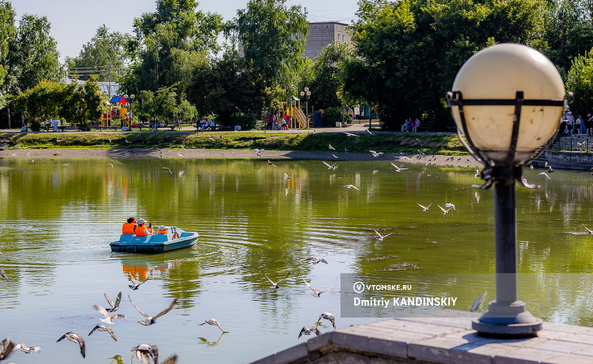 Губернатор: выполняющий работы в парке у Белого озера в Томске подрядчик оказался несостоятельным