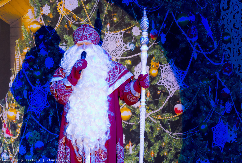 Дед Мороз в Томске встретится с онкобольными детьми и прокатится на лыжах
