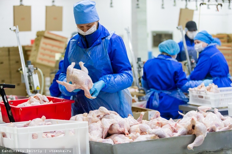 Курам на смех: томский производитель уверяет, что дефицита мяса не будет