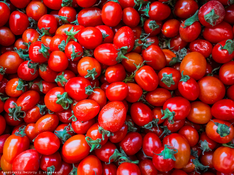 Томский Россельхознадзор уничтожил 70 кг санкционных томатов и яблок