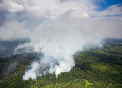 В Томском районе действует лесной пожар