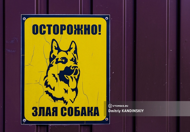 Агрессивные собаки держат в страхе жителей дома в Томске. Люди обратились к Бастрыкину