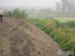 Строительная компания обжалует штраф за загрязнение Мавлюкеевского озера