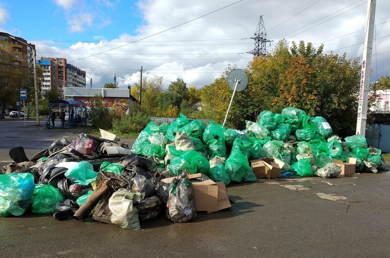 Около 400 мешков с мусором собрали участники «чистых игр» на Степановке в Томске