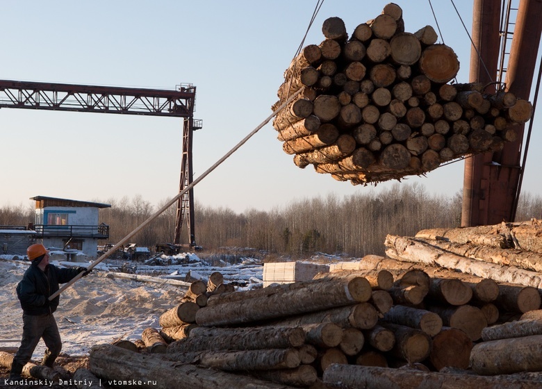 Томская область заработала на сдаче лесов в аренду 314 млн руб