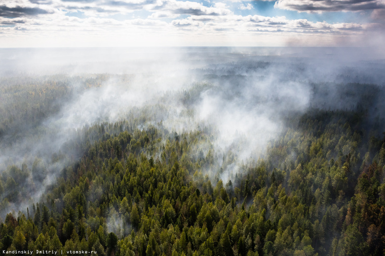 Площадь лесных пожаров в Томской области за выходные снизилась в 5 раз