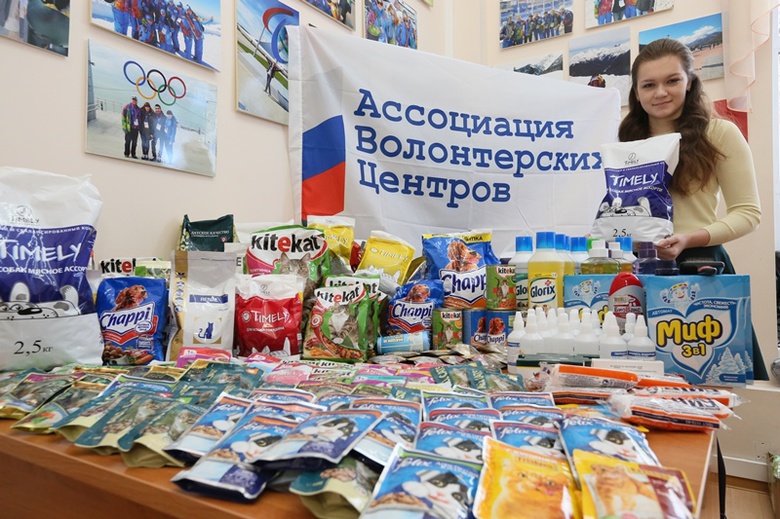 Томские политехники собрали больше 50 кг корма для бездомных собак и кошек