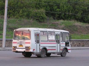 Народные новости: маршрутка без тормозов