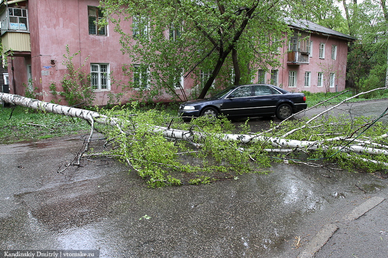 Сегодняшняя гроза обошлась без серьезных последствий (фото)