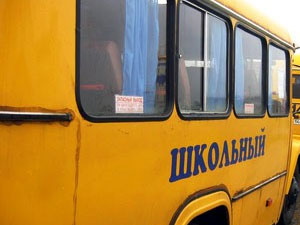 Водитель, который сбил школьницу в Шегарском районе, узнал об этом только через полчаса