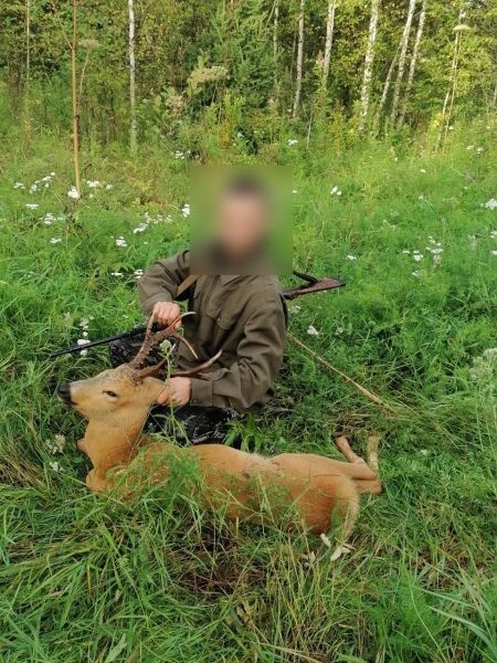 Полиция поймала жителя томского села, застрелившего краснокнижную косулю