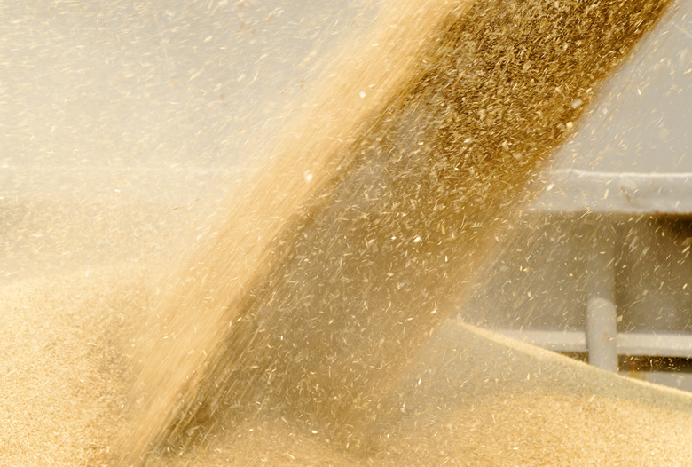 Ферма лишилась более 500 тонн зерна из-за долга по кредиту