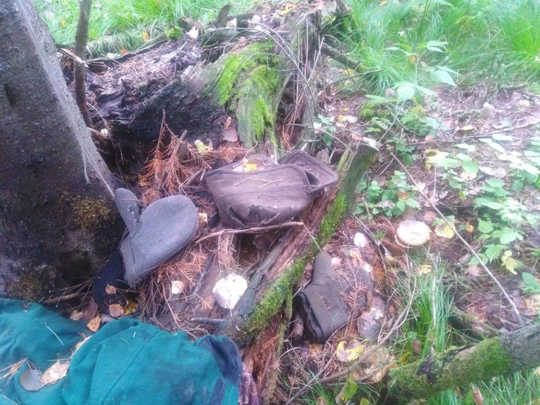 Мужчина нашел в лесу Томской области череп человека
