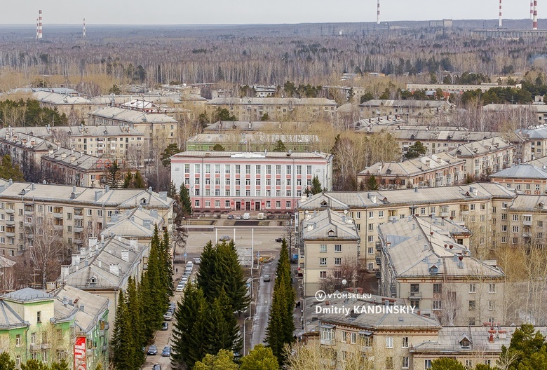 Жители Северска выступили против вырубки сосен для строительства жилого района