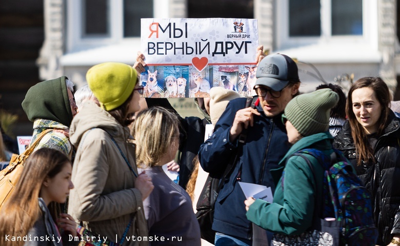 «Спасите собак»: томичи вышли на пикет в поддержку службы отлова «Верный друг»