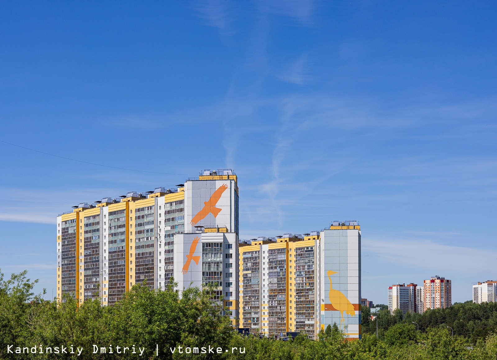 План застройки зеленых горок томск