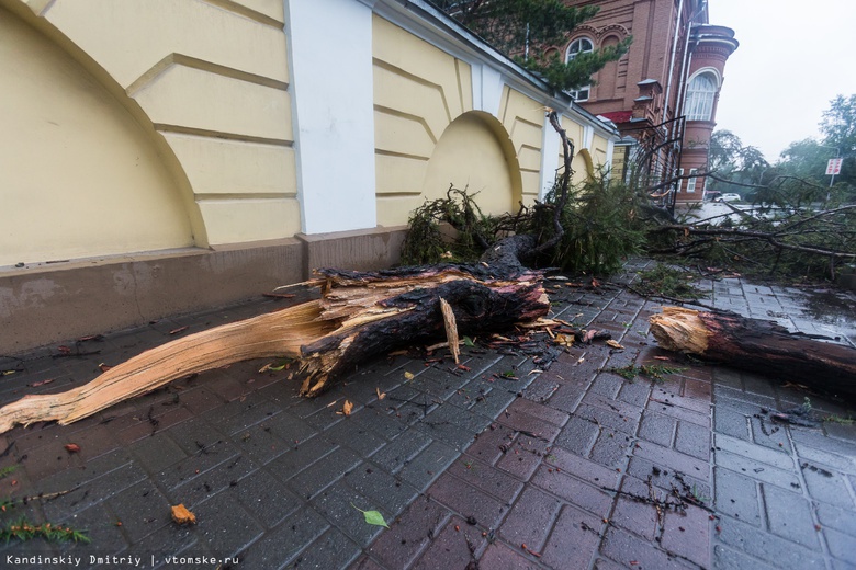 В Томске продолжают устранять последствия шквалистого ветра