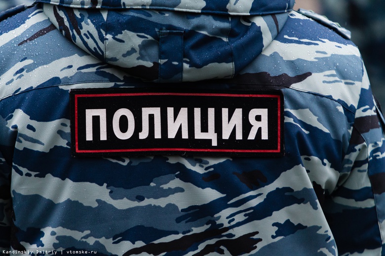 Полиция Томска рассказала о «маньяке» на Каштаке