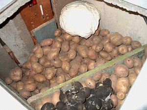На улице Новосибирской затопило погреба