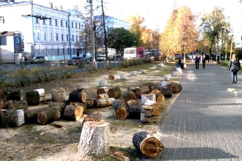 Народные новости: пеньки у дороги (фото)