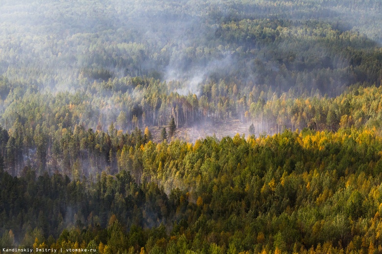 Лес горит на площади более 445 га в Томской области