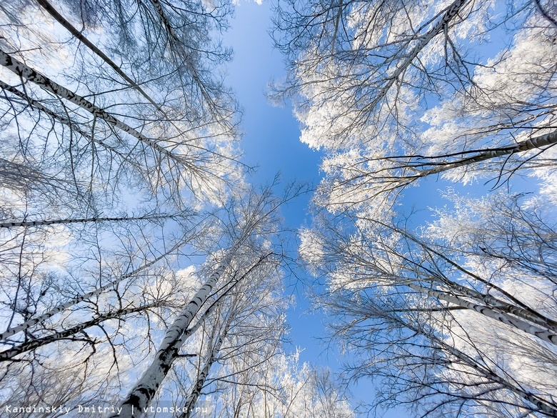 Кратковременное похолодание до -33°C ожидается в Томской области