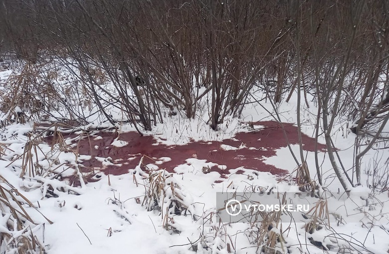 Томичи пожаловались на кровавый ручей в конце Иркутского тракта