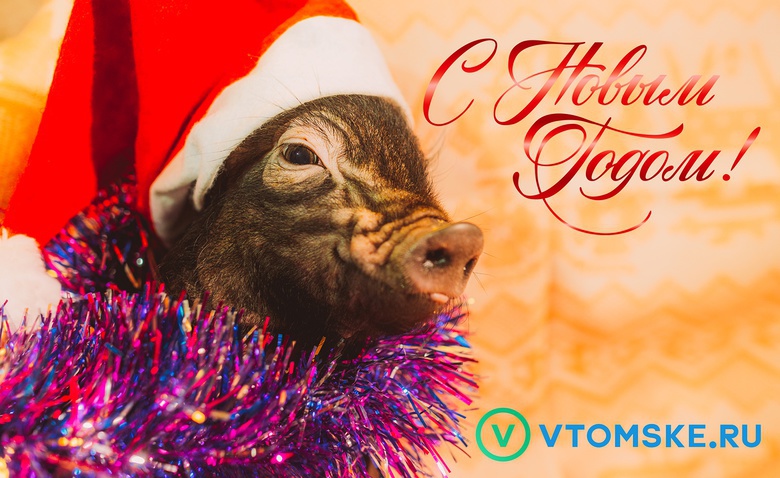 Портал vtomske.ru поздравляет читателей с Новым годом!