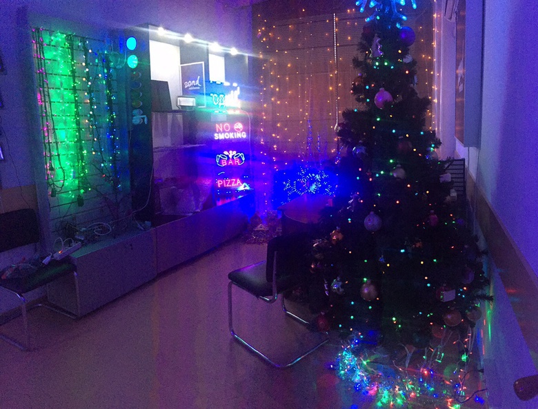 Магазин новогодних светодиодных гирлянд открылся в Томске (фото)