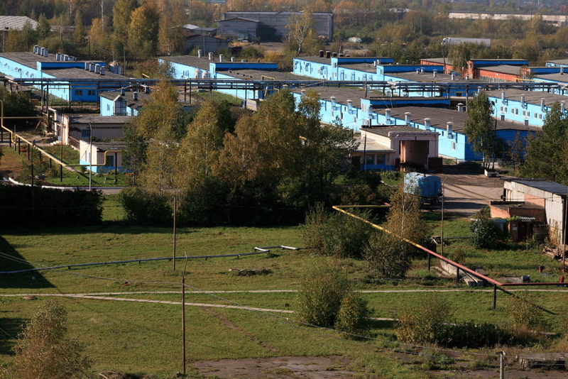 Свинокомплексу «Томский» запретили орошение одного из полей в течение двух месяцев