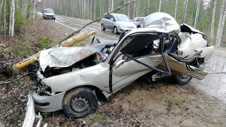 Иномарка съехала в кювет на трассе в Томской области, погиб водитель