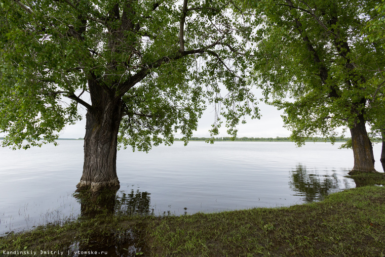 Из-за сбросов новосибирского водохранилища в Оби поднялась вода