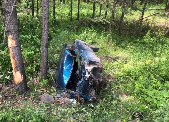 ВАЗ разорвало на две части после наезда на дерево в Томской области