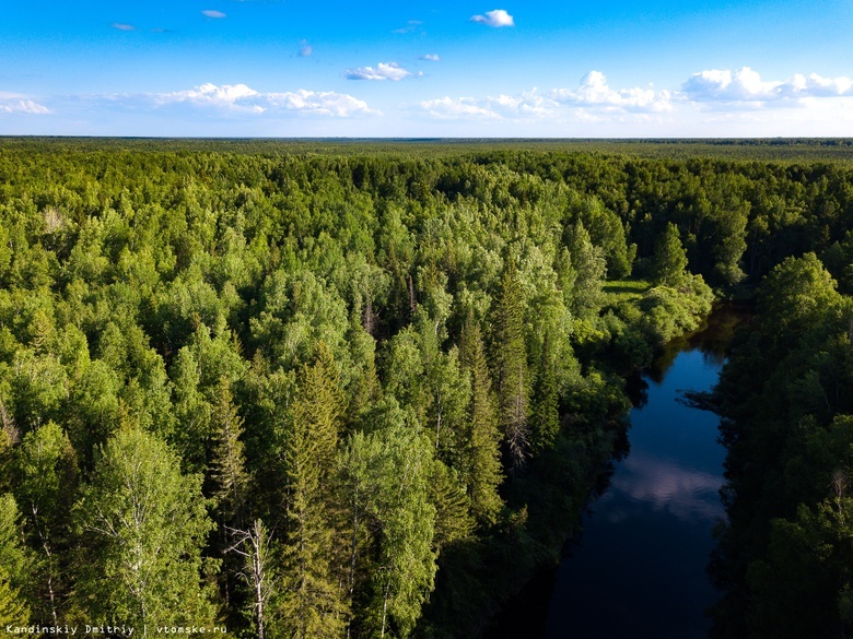 Ученые: малые реки Томской области содержат больше углерода, чем Лена и Обь