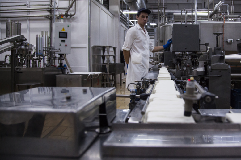 Северский завод начал первое в регионе производство моцареллы и брынзы (фото)