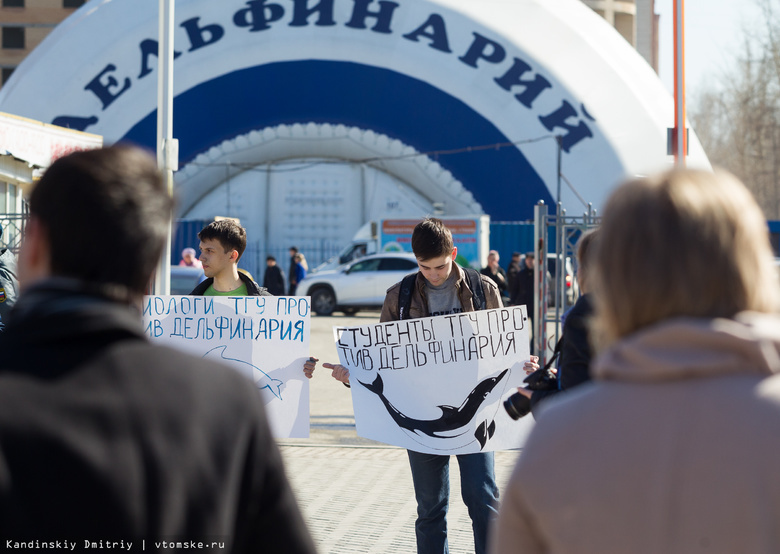 Томичи вышли на пикет, требуя прав для дельфинов