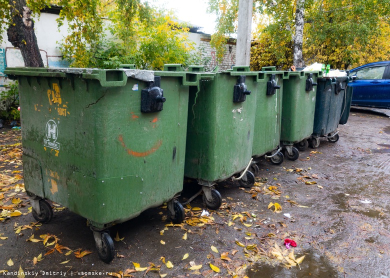 Томская область направит 35 млн руб на покупку мусорных контейнеров