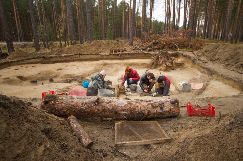 Археологические раскопки в Тимирязевском
