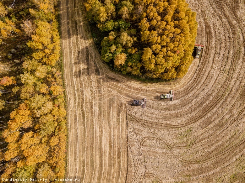 План по сбору урожая в Томской области выполнен на 95%