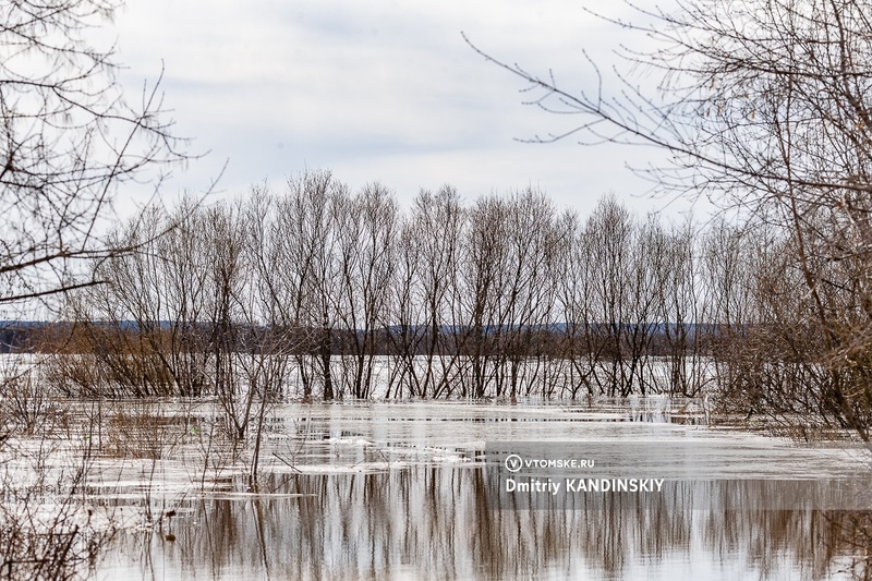 Вода в Оби за сутки поднялась почти на 1 метр около села Каргасок
