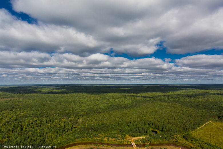 Два новых ландшафтных парка появились в Томской области