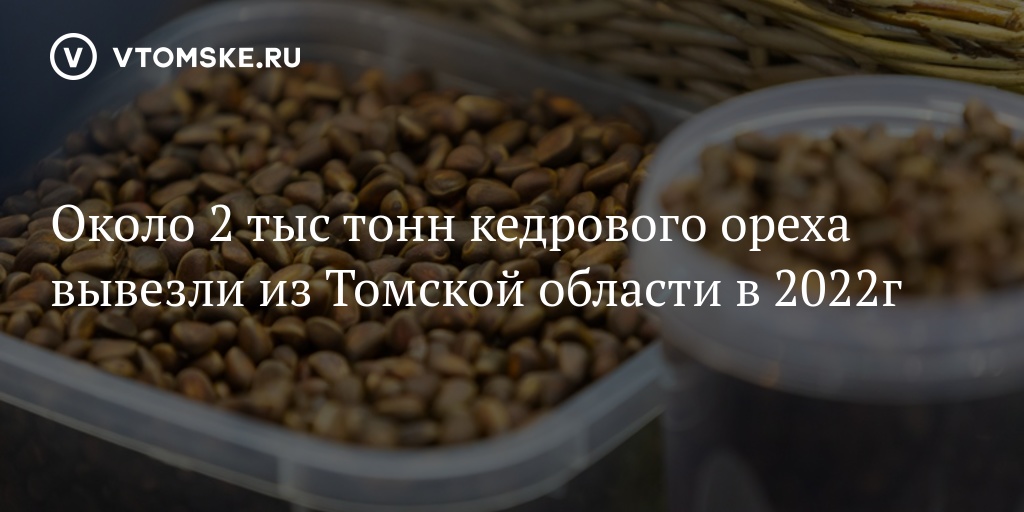 Около 2 тыс тонн кедрового ореха вывезли из Томской области в 2022г - vtomske.ru