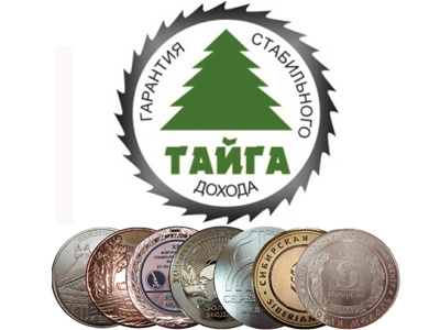 Группа компаний «Тайга» — надежный партнер на рынке деревообработки