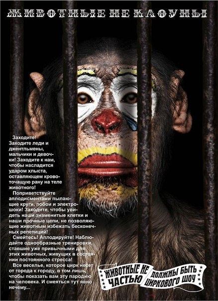 Фото: vk.com