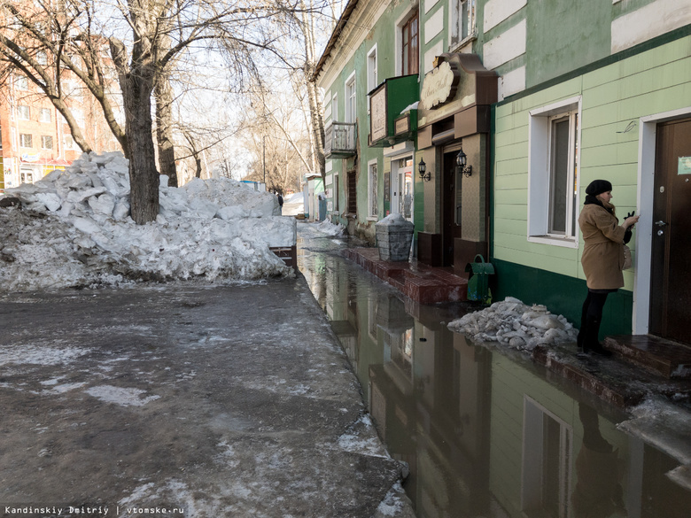 Кляйн поручил максимально очистить тротуары Томска от наледи за неделю