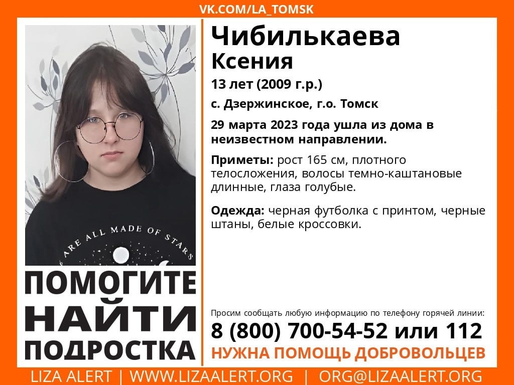 Девочка ушла из дома в томском селе Дзержинское и пропала | 29.03.2023 |  Томск - БезФормата