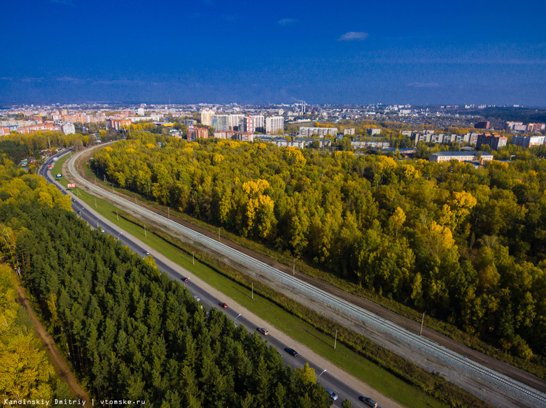 В Томске на 140 тыс «квадратов» снесут деревья под развязку в районе Мокрушина