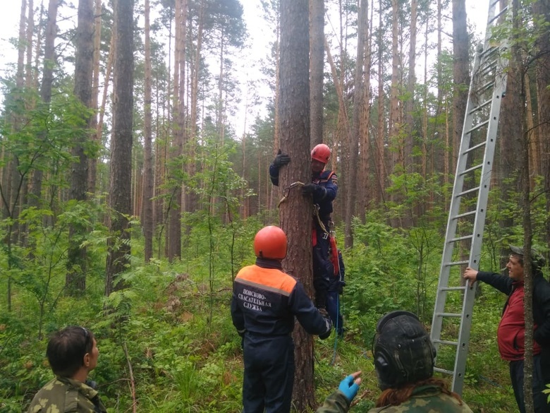 Парашютистка застряла на дереве в Томском районе на 30-метровой высоте